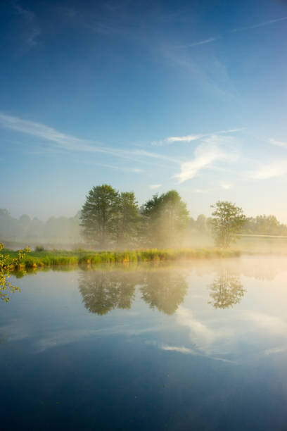 istock Group of trees is reflected in the crystal clear blue water 2112596820