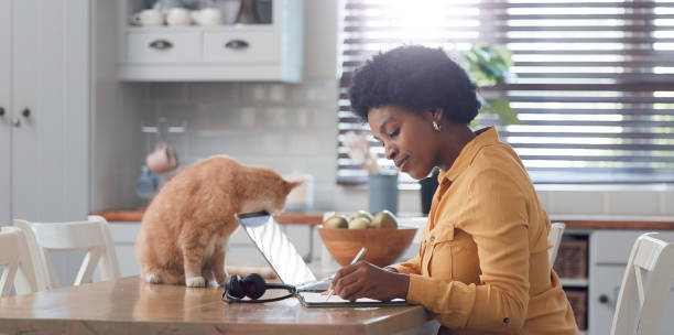 случайная женщина в желтой рубашке работает на ноутбуке со своим котом. - domestic cat computer laptop kitten стоковые фото и изображения