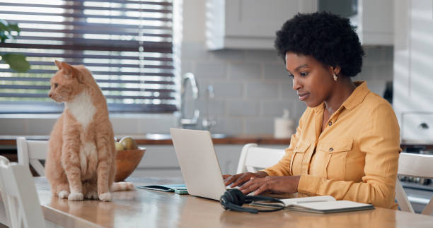 casual woman in yellow shirt working on laptop with her cat. - domestic cat computer laptop kitten стоковые фото и изображения