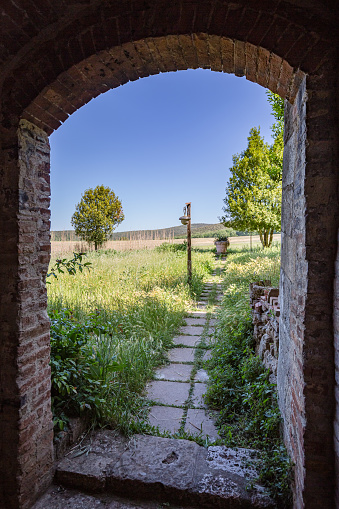 View of road with old made street lamp through green field from arched entrance in city wall. Abbadia a Isola near Monteriggioni, province of Siena, Italy