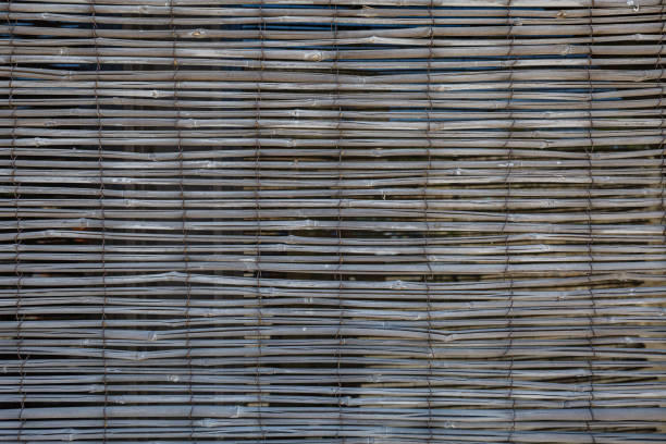 Wooden palisade. trees branches fence background