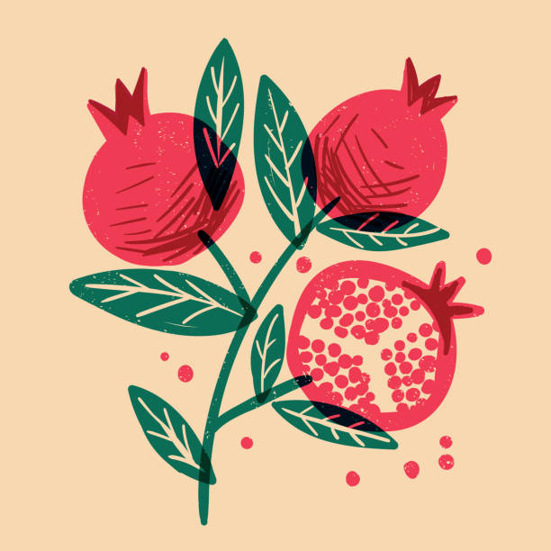 Freehand risograph style vector illustration of pomegranate branch with seed and sliced half fruit