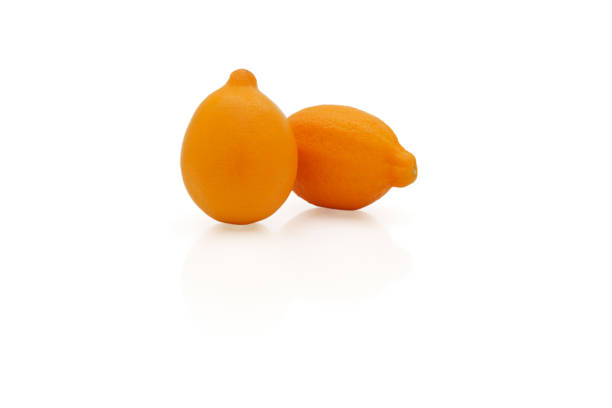 two orange juicy lemons in on a white glossy background with reflection on the surface. High quality photo