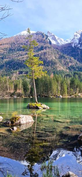 istock Hintersee lake in mountains Alps - island with tree 2112730238