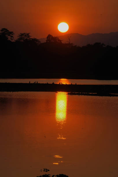 istock Golden hour-Kaziranga National Park 2112764254