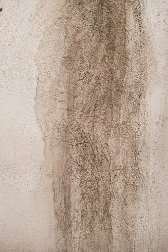 Vertical image of a worn and very dirty white wall ideal for textures and backgrounds