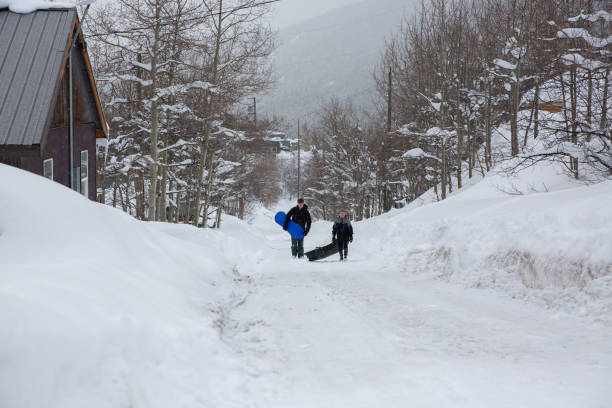 Road covered in Fresh Powder Snow through a Forest on a Snowy Winter Day. Tyre Tracks are visible on the Road. Concept of Treacherous Driving Conditions.