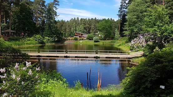 Small lake in a park in the Latvian village of Babite in June 2021.