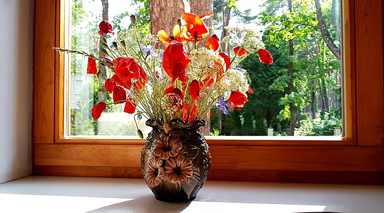 Bright red flowers of field poppies in a ceramic vase on the windowsill.