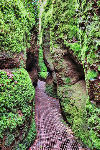 A scenic dirt path winding past mossy rocks and small crevices