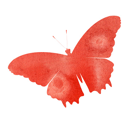 Red watercolor butterfly silhouette on white background. Beautiful butterfly outline for decoration.