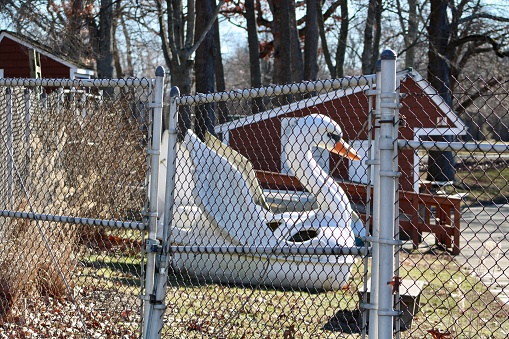 A large paddle boat in the shape of a swan.