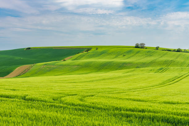 istock Green farmlands on small hill with blue sky with clouds 2112889419