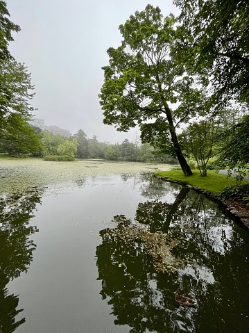 A wide of Griffin's Pond in the Halifax Public Garden.