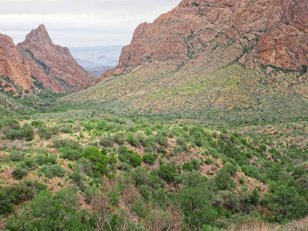 istock View through the Chisos mountains at the valley below in Big Bend national park 2112938308