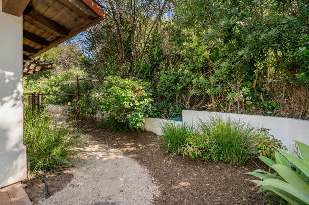 istock a dirted path leading to a white building with trees in the background 2112938841