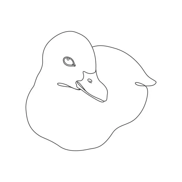 Vector illustration of Baby Duckling Continuous Single Line Drawing with Editable Stroke