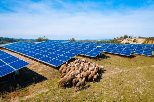 istock Solar power station. Turkey 2112966130
