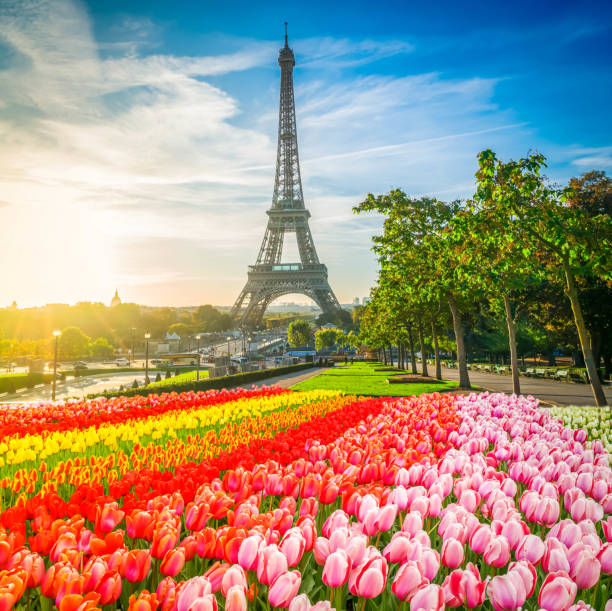 istock eiffel tour and from Trocadero, Paris 2113022071