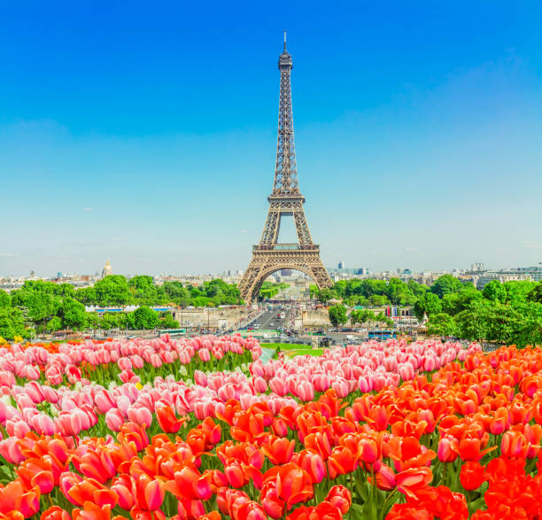 istock eiffel tour and from Trocadero, Paris 2113022597