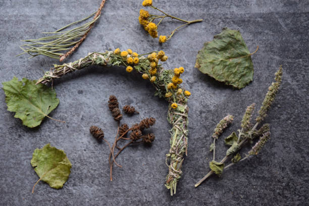 istock Slavic natural incense wands 2113023640