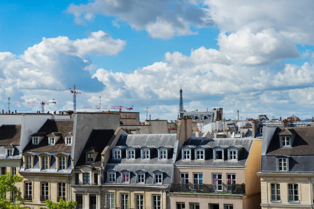 cityscape of Paris with parisian roofs and Eiffel Tower in background, Paris France