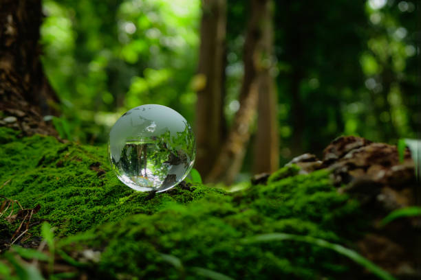 istock Earth crystal glass globe ball and tree on green sunny background. Saving environment, save clean planet, ecology concept. Card for World Earth Day. 2113034062