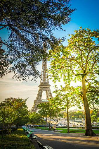 view of Eiffel Tower landmark from Trocadero at sunrise, Paris, France