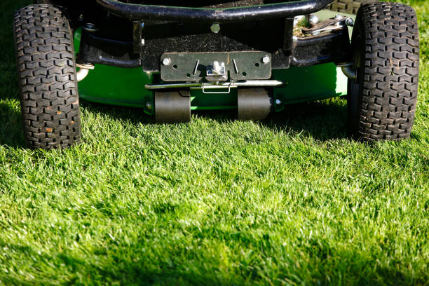 istock Riding lawn mower on a grass close-up 2113043933