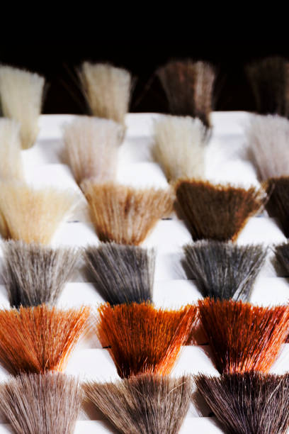 Various hair color swatches.