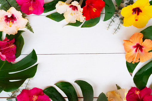 Tropical frame of flowers and leaves, summer vacational background