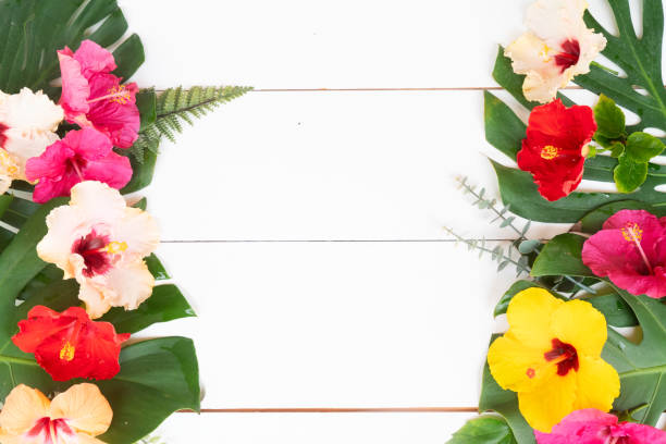 istock Tropical flowers and leaves, summer vacational background 2113060062