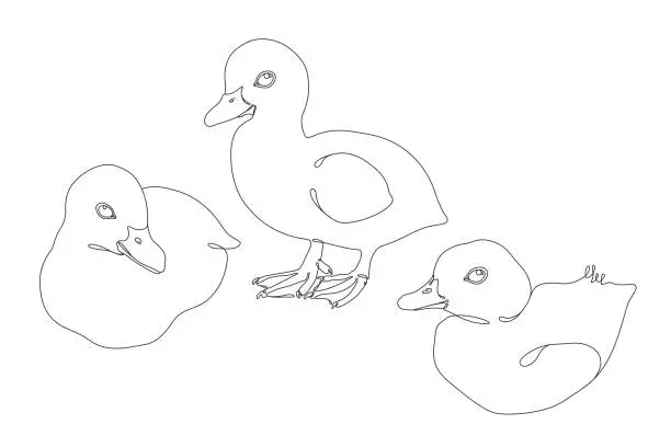 Vector illustration of Ducklings Continuous Single Line Drawing with Editable Stroke