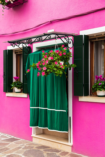 Burano, Italy - October, 6 2019: Bright traditional pink house on Burano island, Venice, Italy. Green curtain on door, wooden old style windows with shutters and Mandevilla flowers on window sills.