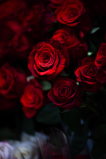 Gorgeous Romantic Red Roses