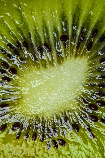 Close Up Of Kiwi Fruit Center
