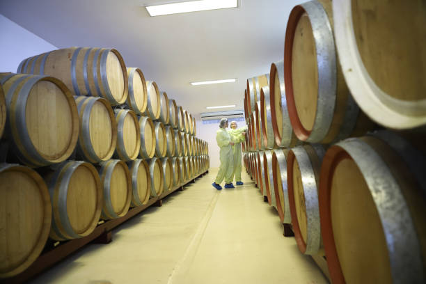 istock Winemaker working in modern large winery factory drink industry  and  testing wine in a wine factory warehouse 2113170085