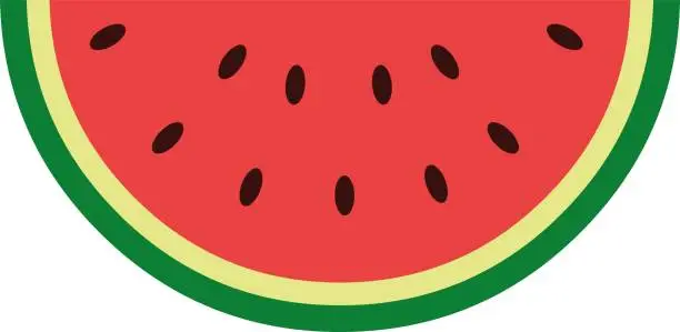 Vector illustration of vector illustration meal watermelon