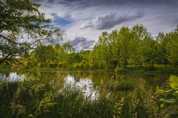 istock View of small tree lined Midwestern lake in spring; sky in background 2113224023