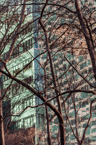 istock Manhattan, NYC, NY USA 2113287674
