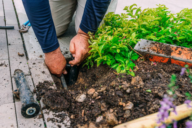 istock Latino Man Replacing a Flower Bed Sprinkler 2113322919