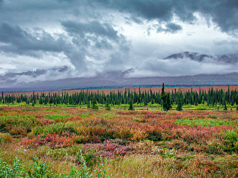 Autumn Alaskan landscape view of tundra, mountains and clouds.

Taken in Alaska, USA