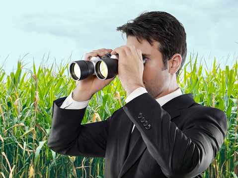 Businessman looking away with binoculars in a corn field