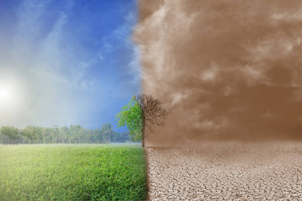 istock Green land compare with arid land. 2113421180