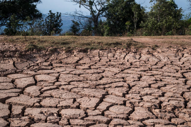 istock Landscape of soil drought cracked 2113437356