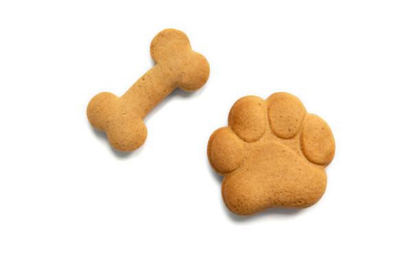 Bone and paw shaped gingerbread cookies