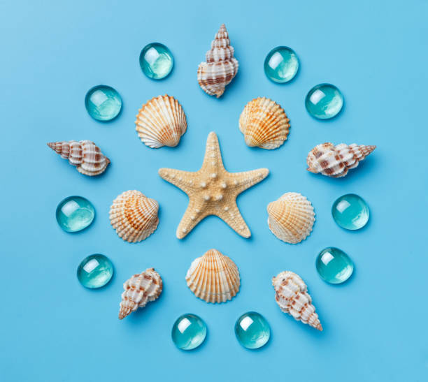 Pattern of seashells, starfish, and blue glass beads on a light blue background.