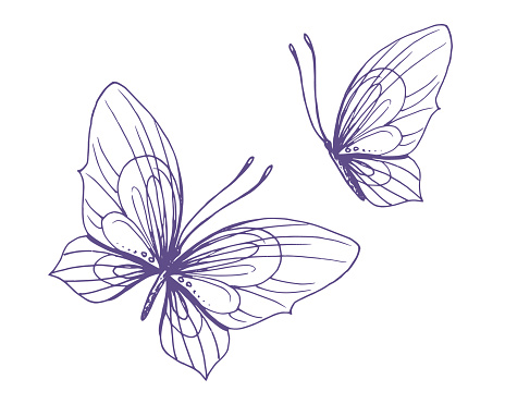 Delicate butterflies with patterns on the wings, simple, sweet, light, romantic. Illustration graphically hand-drawn in lilac ink in line style. Set of isolated EPS vector objects.