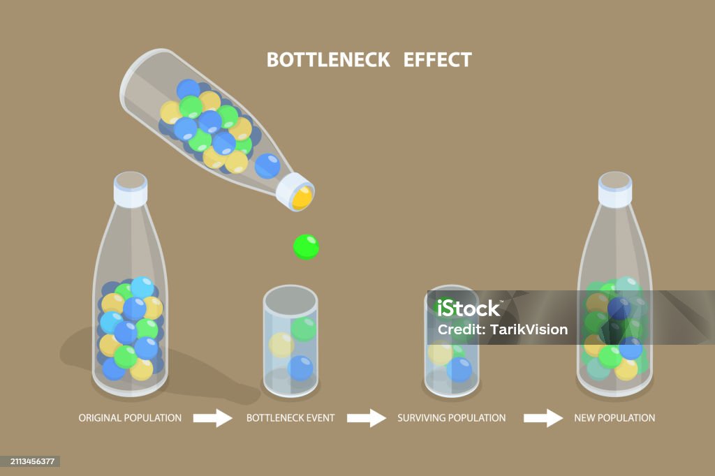 Multiple Bottleneck Visual 3d Isometric Flat Vector Conceptual Illustration Of Bottleneck Effect ...