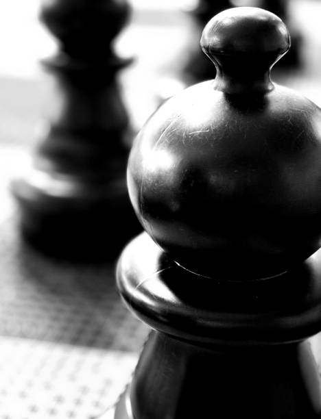 Horizontal photograph of four different knight chess pieces variety or variation queued, positioned as a group or team battalion on a chessboard in, over grey background with copy space, denoting power, unity, force, togetherness